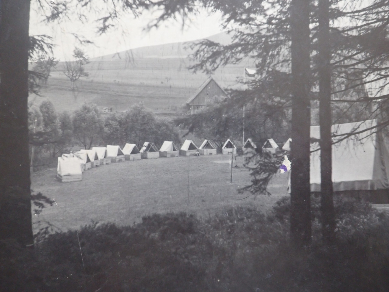 T�bor skautek v Jedlov� v Orlick�ch hor�ch v roce 1947